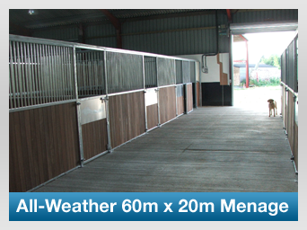 All-Weather 60m x 20m Menage